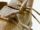 Handcrafted medieval men's shoes – leather detail